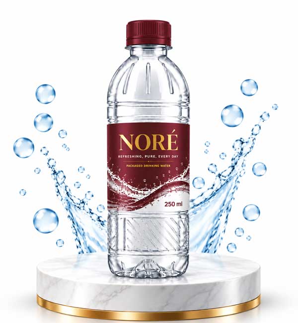 NORE 250 mL Water Bottle