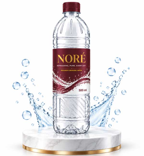 NORE 500 mL Water Bottle